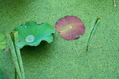 《三角洲行动：黑鹰坠落》2月21日10点免费上线